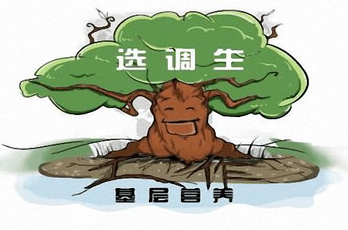 選調生二年期滿后去向 一名選調生的公務員考試之路